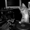 水晶DJ Dj阿Cat