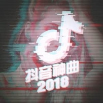 j97co...的音樂盒2018年抖音最火背景樂DJ版
